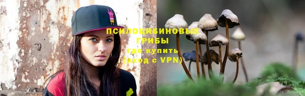 PSILOCYBIN Верея