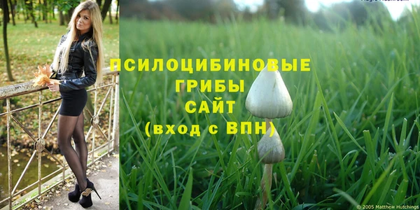 PSILOCYBIN Верея
