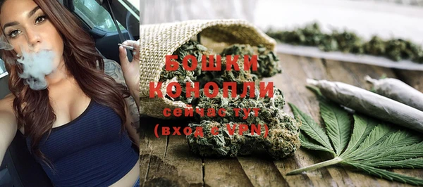PSILOCYBIN Верея