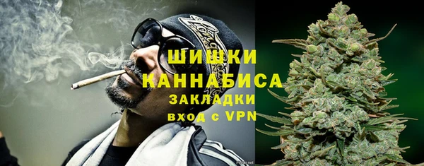 PSILOCYBIN Верея