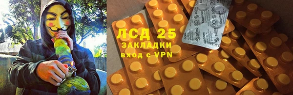 PSILOCYBIN Верея