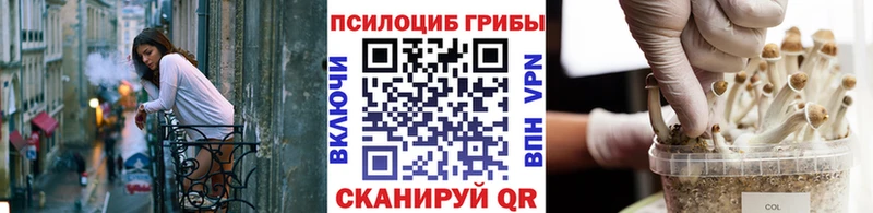 shop формула Хабаровск Галлюциногенные грибы мицелий даркнет сайт